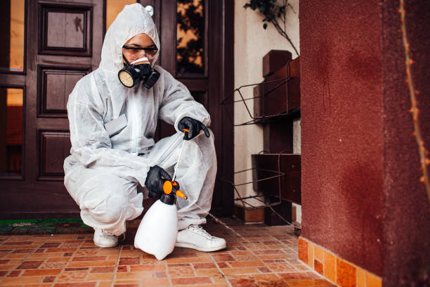 Reliable Cockroach Control contractor in Wortham, TX by Nex Pest Control